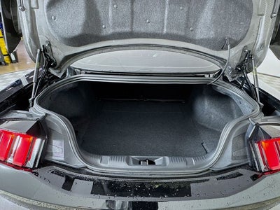 2025 Ford Mustang SPEC LAUNCH 810HP