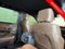 2025 Ford Expedition Max King Ranch