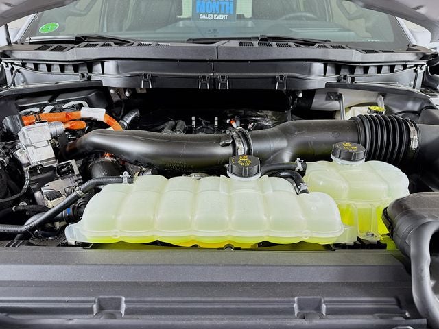 2025 Ford F-150 Platinum Bozard Built