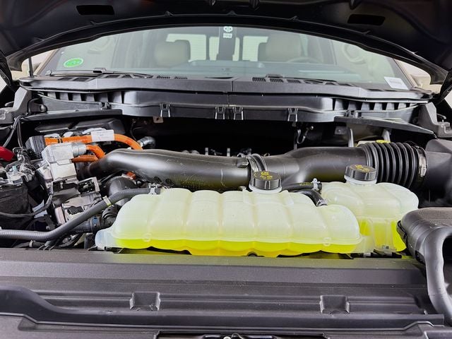 2026 Ford F-150 Platinum Bozard Built