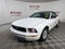 2009 Ford Mustang V6 Premium