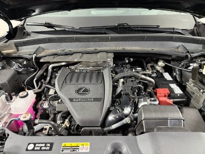 2024 Lexus TX 350 Luxury